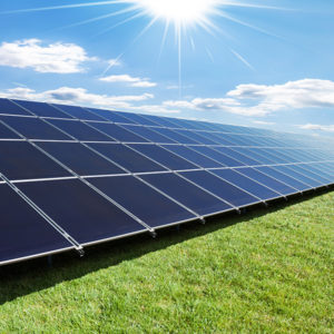 Daytime view of solar panels in a ground-level solar array