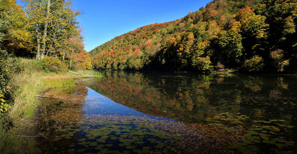 Gillett Pond No Link