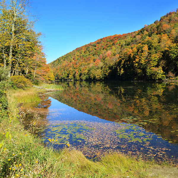 Daytime view of a pond next to a mountain covered in trees beginning to turn in autumn under a blue sky