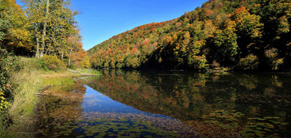 Daytime view of tree-covered mountains in autumn reflected in a lake