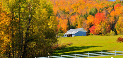Daytime view of a barn nestled against tree-covered mountains in autumn