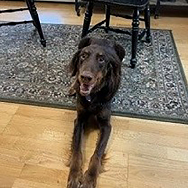 Photo of Tucker Dean Weihe of MSK Attorneys